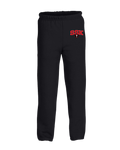St. Stan's cross sweatpants